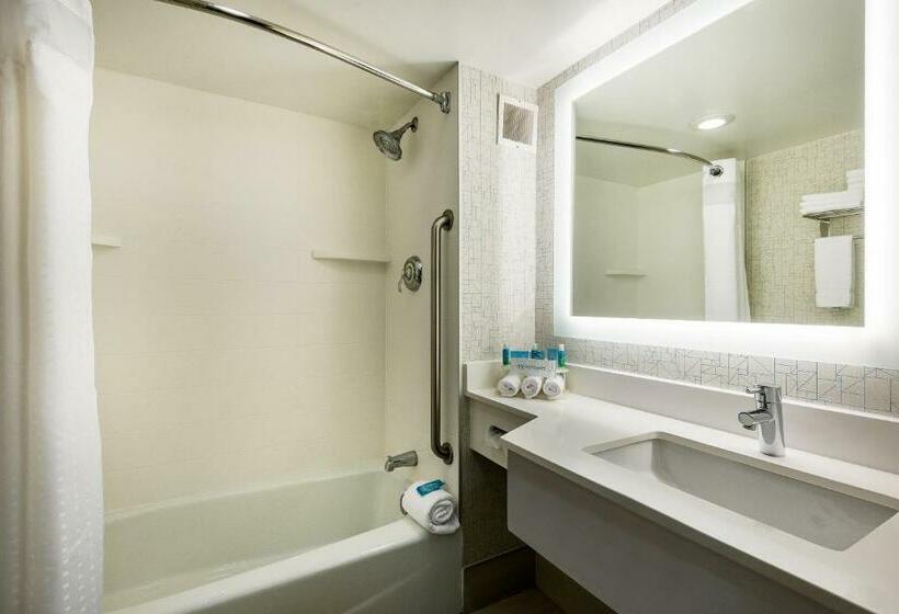 스탠다드 룸 킹사이즈 침대, Holiday Inn Express Albany Downtown