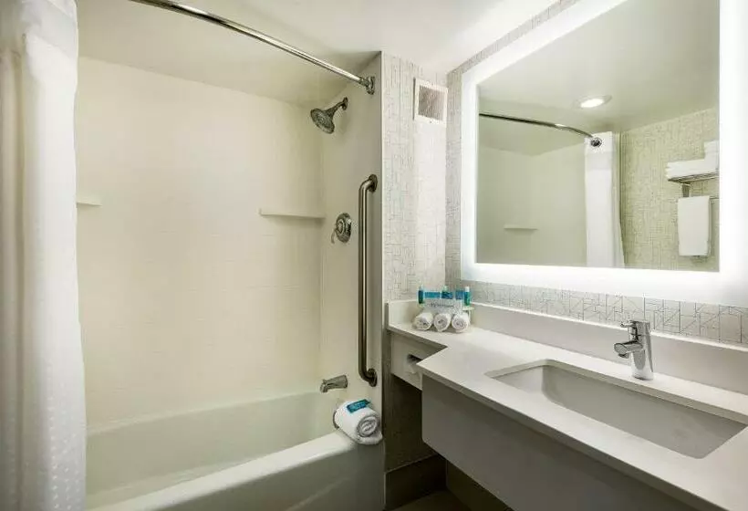 اتاق استاندارد با تخت بزرگ, Holiday Inn Express Albany Downtown