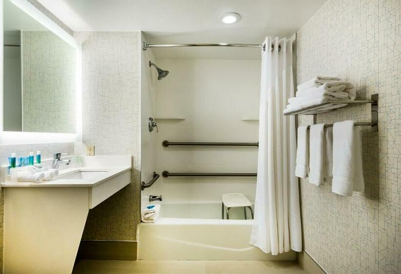 스탠다드 룸 킹사이즈 침대, Holiday Inn Express Albany Downtown