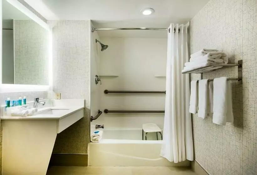 اتاق استاندارد با تخت بزرگ, Holiday Inn Express Albany Downtown
