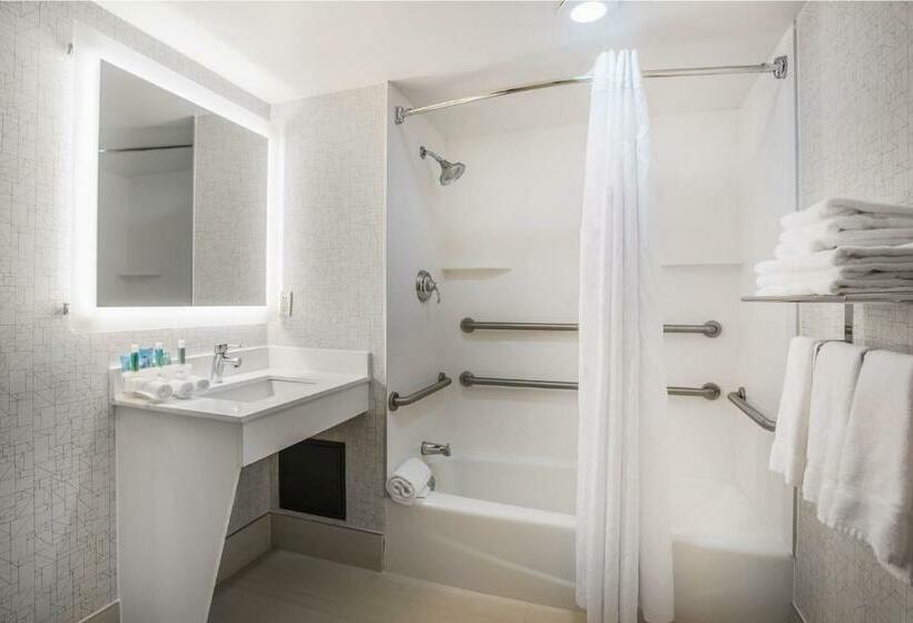 스탠다드 룸 킹사이즈 침대, Holiday Inn Express Albany Downtown