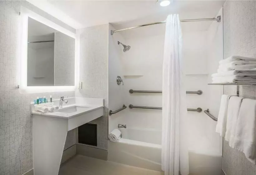اتاق استاندارد با تخت بزرگ, Holiday Inn Express Albany Downtown
