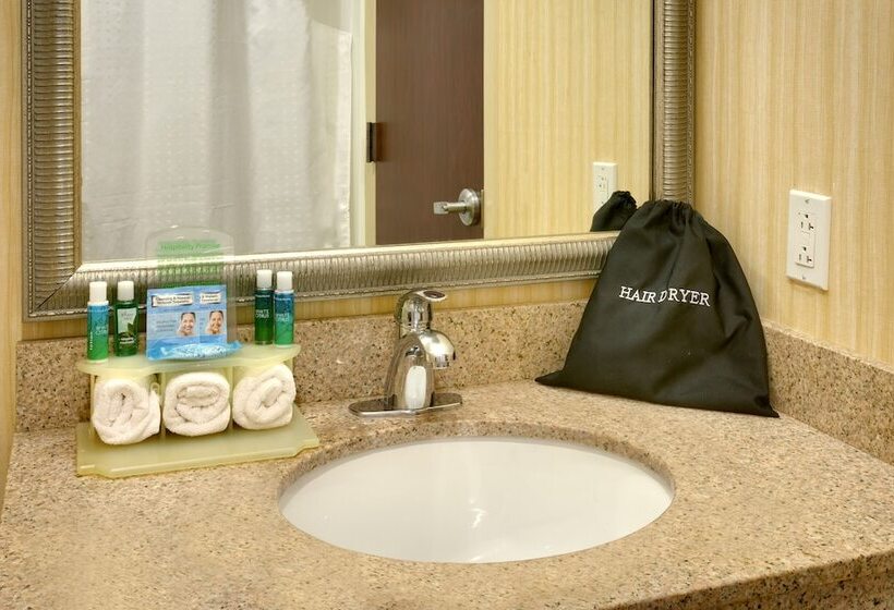 חדר סטנדרט, Holiday Inn Express & Suites American Fork   North Provo, An Ihg