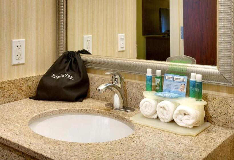 חדר אקזקיוטיב חדר קינג, Holiday Inn Express & Suites American Fork   North Provo, An Ihg