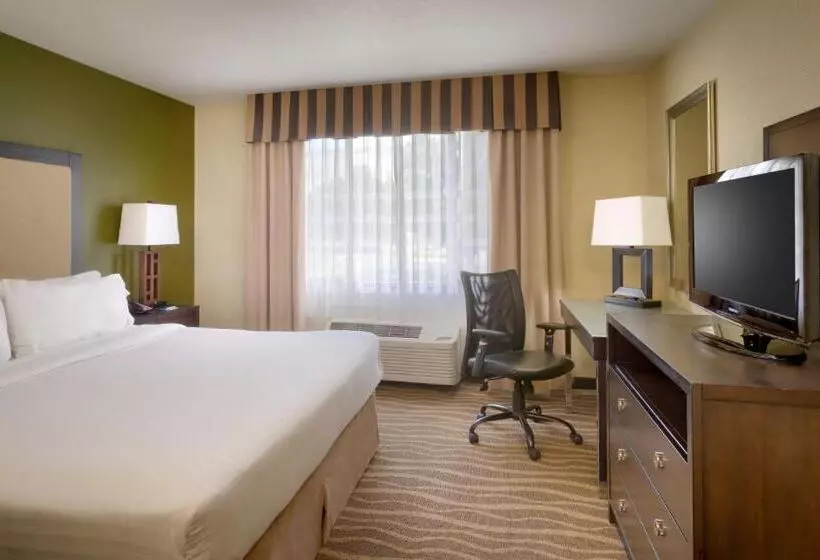 キングサイズベッドのスイートルーム, Holiday Inn Express & Suites American Fork   North Provo, An Ihg