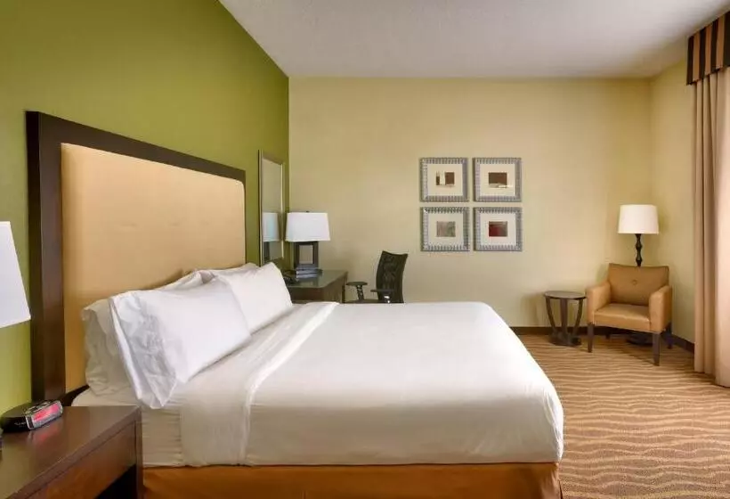 身障者適用キングサイズベッドルーム, Holiday Inn Express & Suites American Fork   North Provo, An Ihg