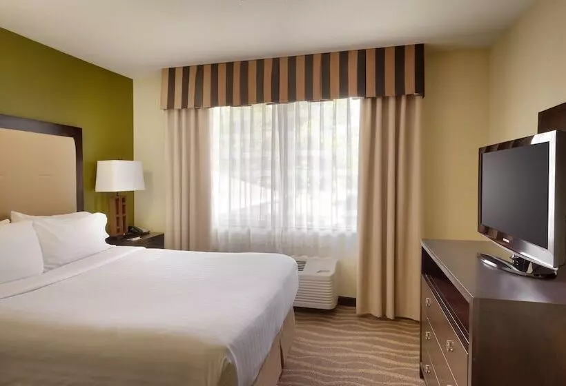 スイート, Holiday Inn Express & Suites American Fork   North Provo, An Ihg