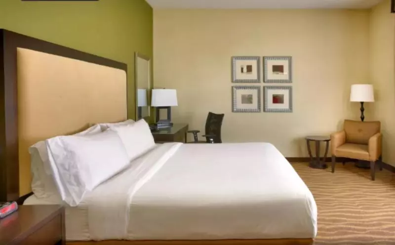 身障者適用キングサイズベッドルーム, Holiday Inn Express & Suites American Fork   North Provo, An Ihg