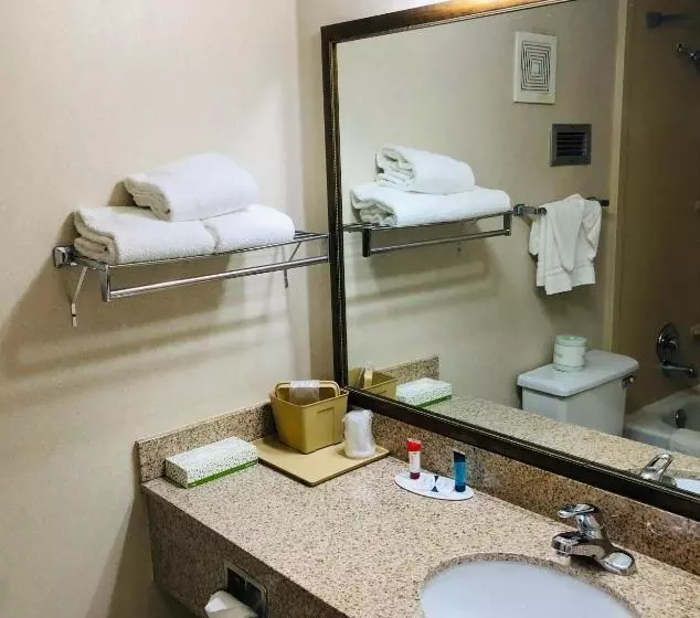اتاق استاندارد با تخت بزرگ, Wyndham Garden Atlanta Airport