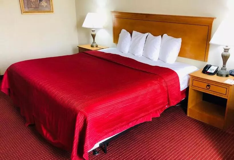 اتاق استاندارد با تخت بزرگ, Wyndham Garden Atlanta Airport