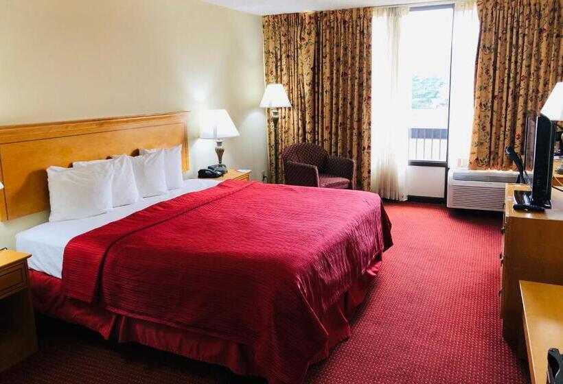 스탠다드 룸 킹사이즈 침대, Wyndham Garden Atlanta Airport