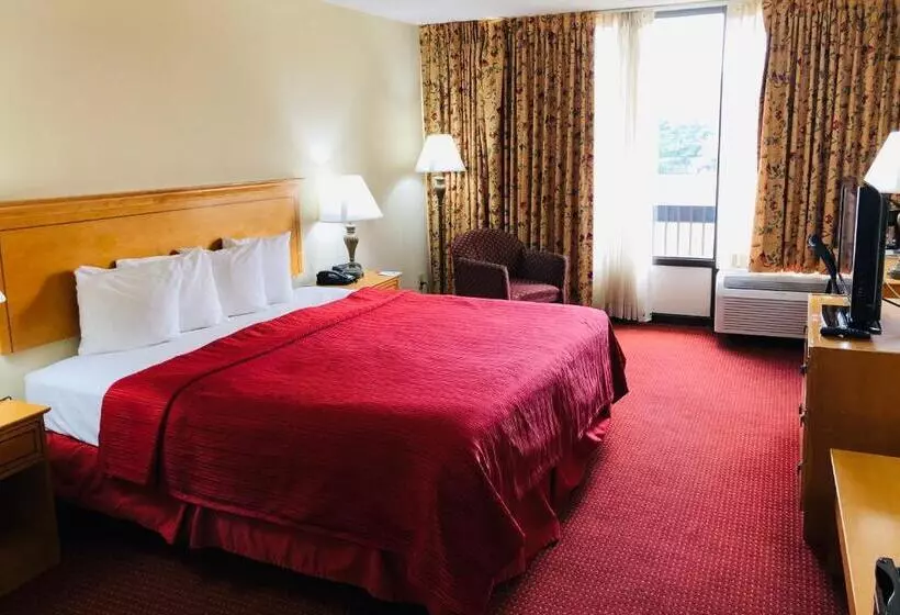 اتاق استاندارد با تخت بزرگ, Wyndham Garden Atlanta Airport