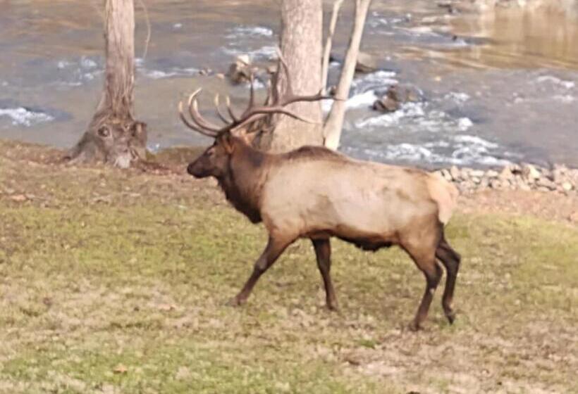 غرفة قياسية مزوَّدة بشُرفة, Quality Inn