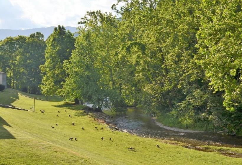 جناح لذوى الاحتياجات الخاصة, Quality Inn