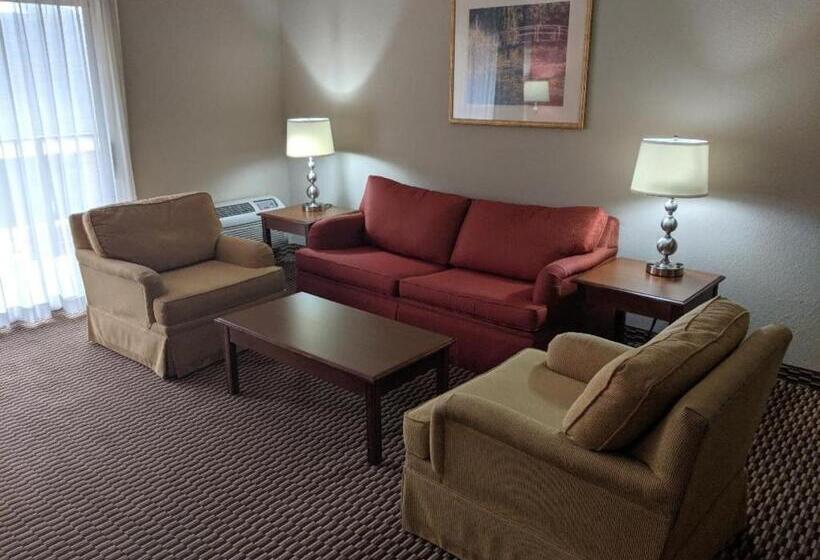 سوئیت با تخت بزرگ, Ramada By Wyndham Raleigh