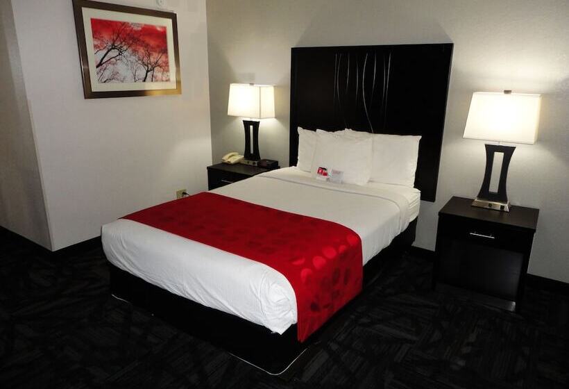 标准间带双人床, Ramada By Wyndham Tuscaloosa