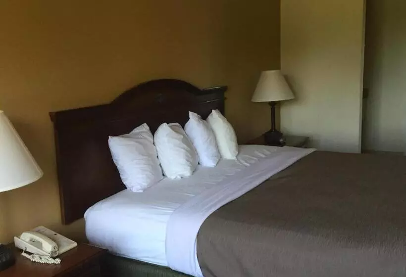 キングサイズベッドのスタンダードルーム, Likehome Extended Stay Hotel Warner Robins