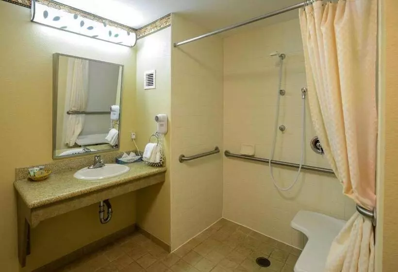 اتاق استاندارد با تخت بزرگ برای معلولان, Winter Park Mountain Lodge