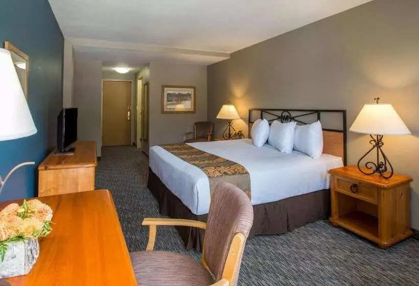 اتاق استاندارد با تخت بزرگ, Winter Park Mountain Lodge