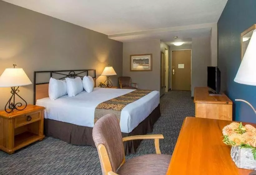 اتاق استاندارد با تخت بزرگ, Winter Park Mountain Lodge