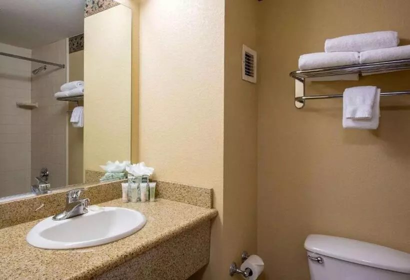 سوئیت با تخت بزرگ, Winter Park Mountain Lodge