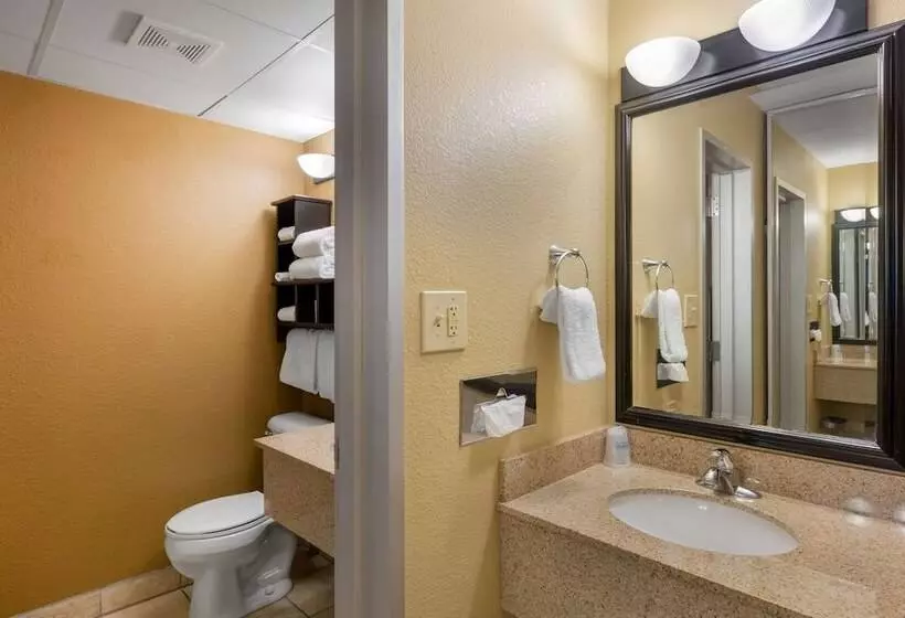 اتاق استاندارد, Best Western Plus North Platte Inn & Suites