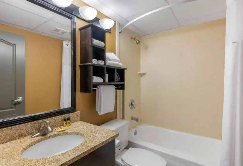 اتاق استاندارد با تخت بزرگ, Best Western Plus North Platte Inn & Suites