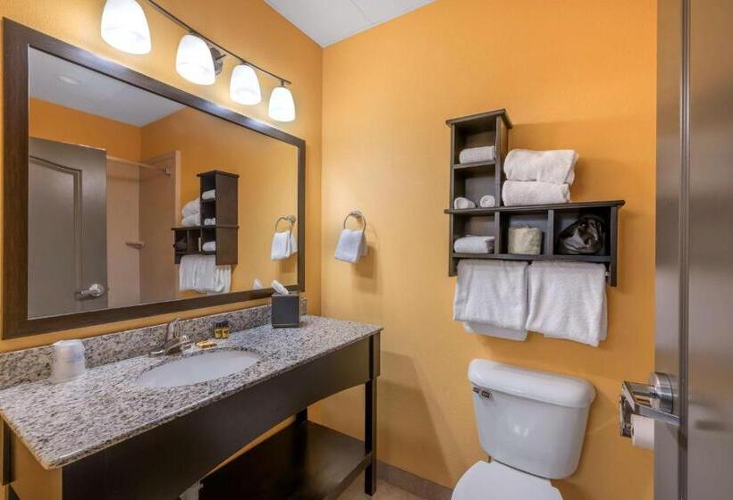Номер Deluxe, Best Western Plus North Platte Inn & Suites