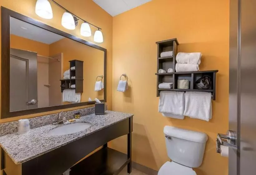 اتاق لوکس, Best Western Plus North Platte Inn & Suites