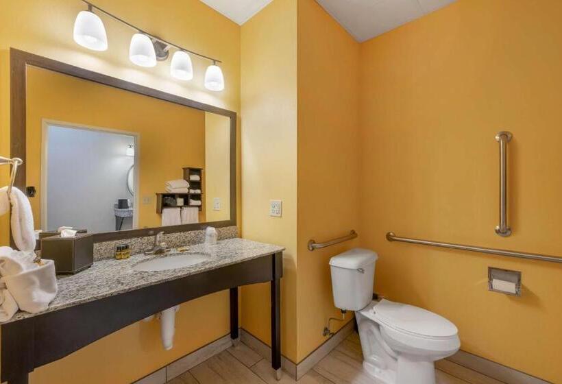 身障者適用スタンダードルーム, Best Western Plus North Platte Inn & Suites