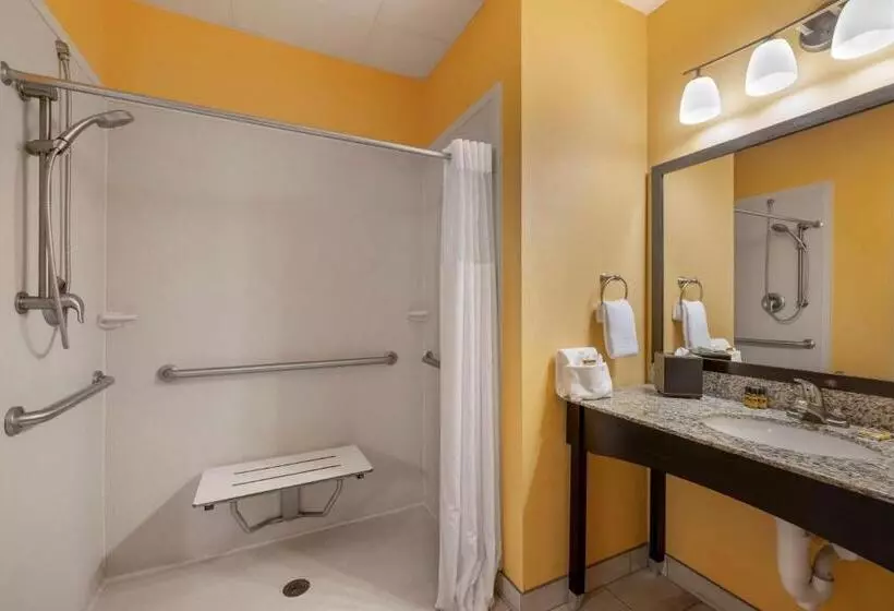 اتاق استاندارد برای معلولان, Best Western Plus North Platte Inn & Suites