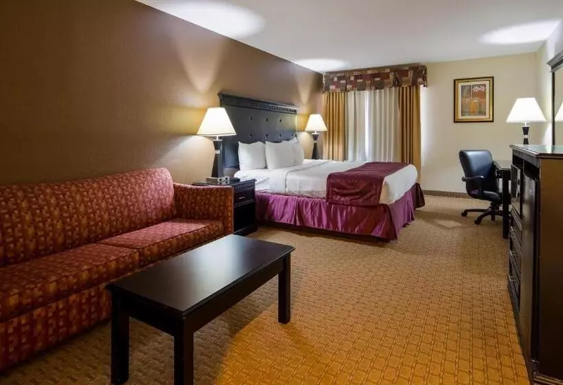 キングサイズベッドのスタンダードルーム, Best Western Saluki Inn