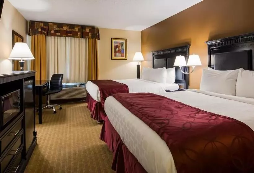 スタンダードルーム, Best Western Saluki Inn