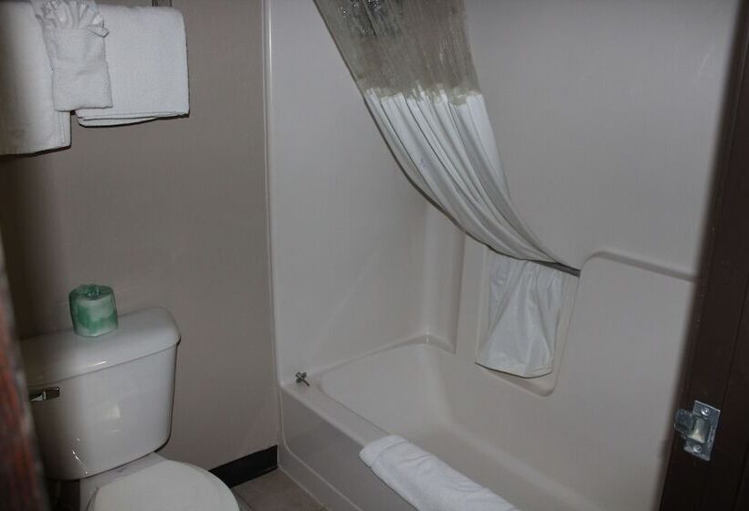 Номер Стандарт 2 Двуспальные Кровати, Coratel Inn And Suites Maple Grove