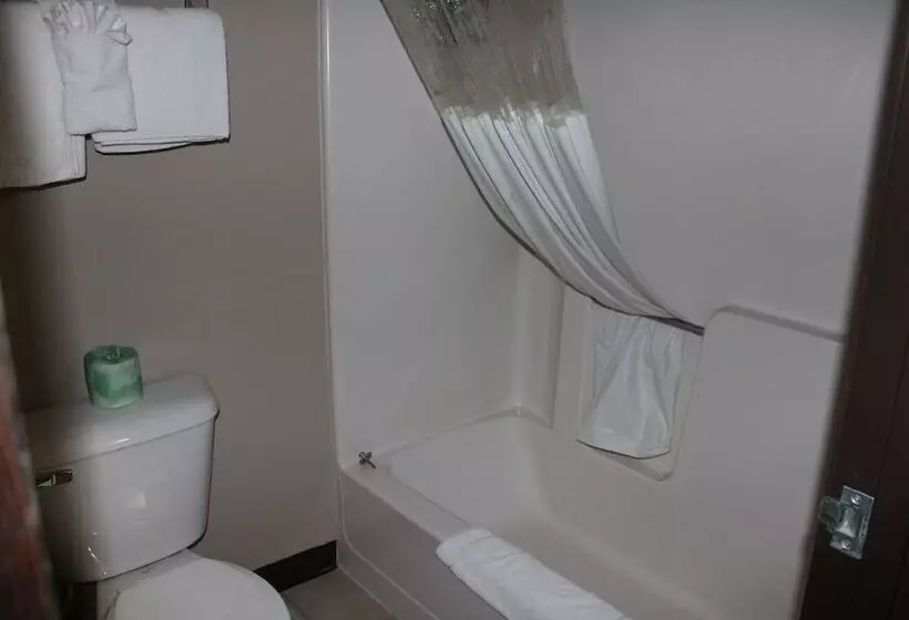 ２ダブルベッドのスタンダードルーム, Coratel Inn And Suites Maple Grove