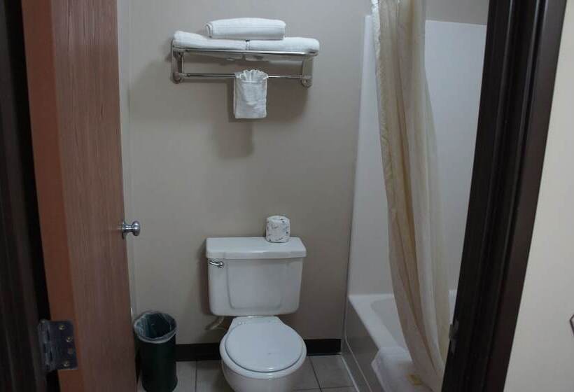 Standard Szoba 2 Franciaággyal, Coratel Inn And Suites Maple Grove