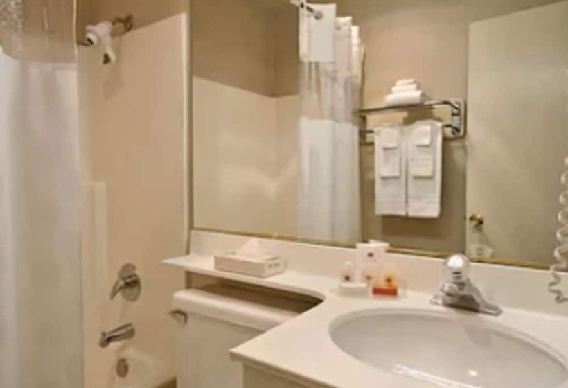 Номер Стандарт 2 Двуспальные Кровати, Days Inn By Wyndham San Marcos