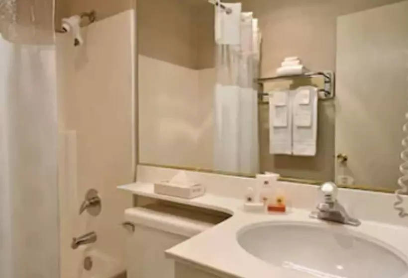 اتاق استاندارد با 2 تخت دوبل, Days Inn By Wyndham San Marcos