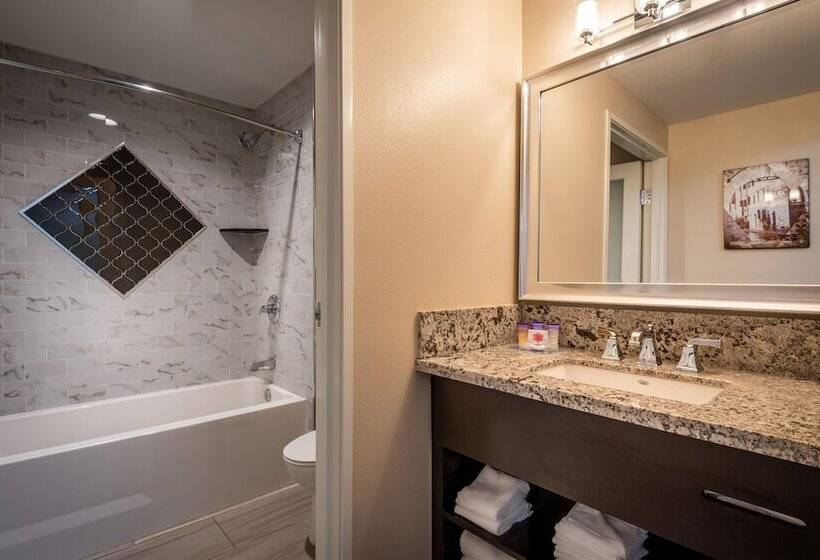 デラックスルーム, Grand Legacy At The Park