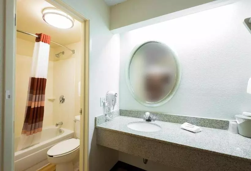 اتاق سوپریور با تخت بزرگ, Red Roof Inn Boston  Southborough/worcester