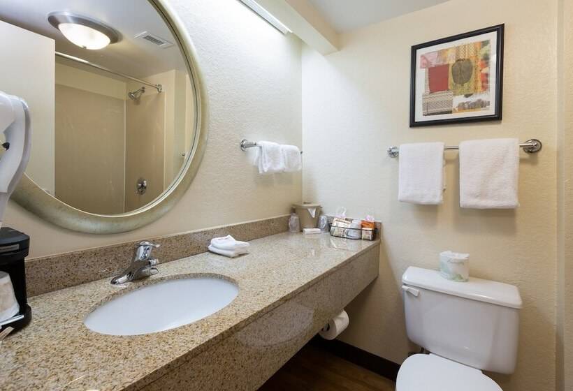 Номер Superior, Red Roof Inn Houston Westchase