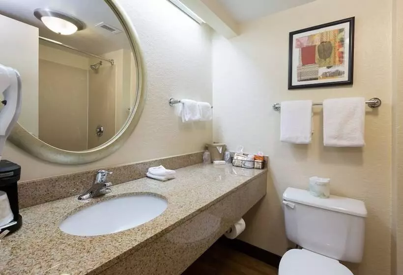 اتاق سوپریور, Red Roof Inn Houston  Westchase