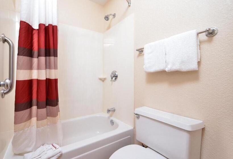 带大床的标准间, Red Roof Inn Toledo  University