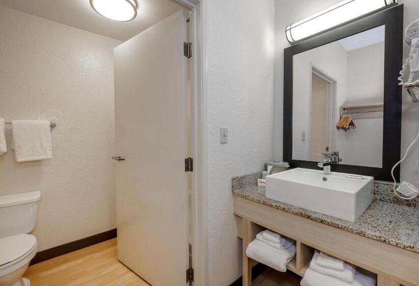 جناح سرير كينج, Red Roof Inn Plus + Gainesville