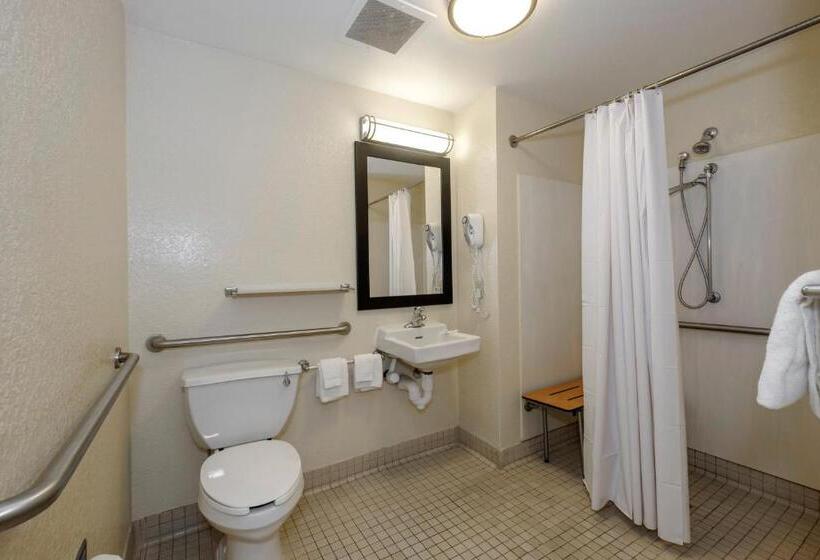 חדר דלוקס מותאם לאנשים עם מוגבלויות, Red Roof Inn Plus + Gainesville