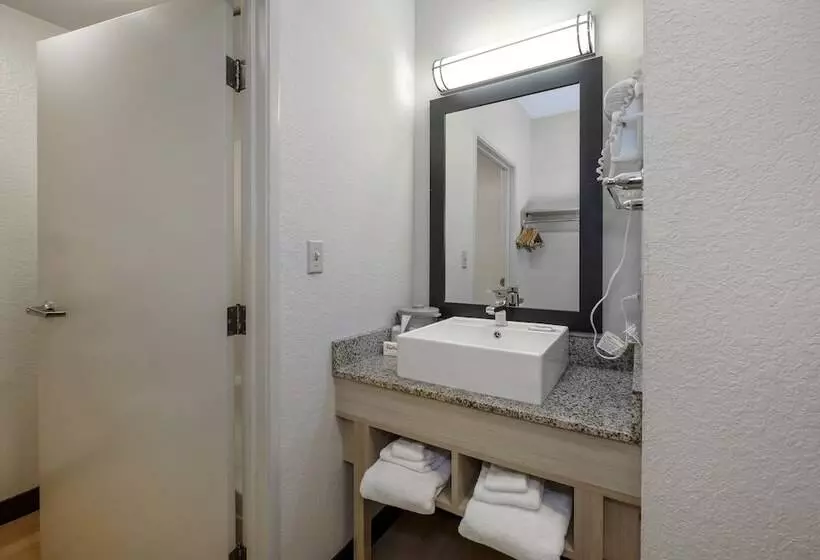 身障者適用スイートルーム, Red Roof Inn Plus + Gainesville