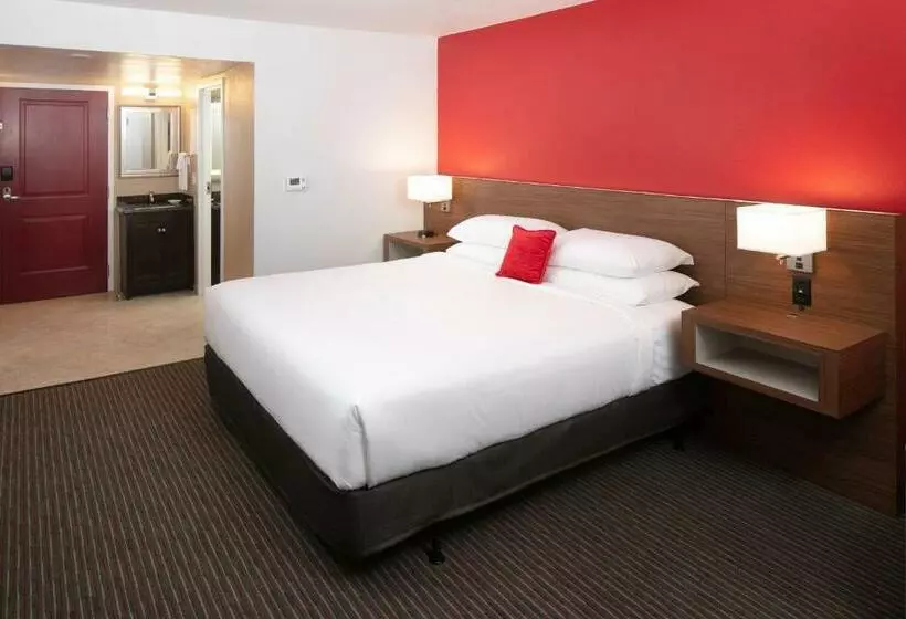 اتاق استاندارد با تخت بزرگ, Red Lion Hotel Orlando Lake Buena Vista South  Near Disney