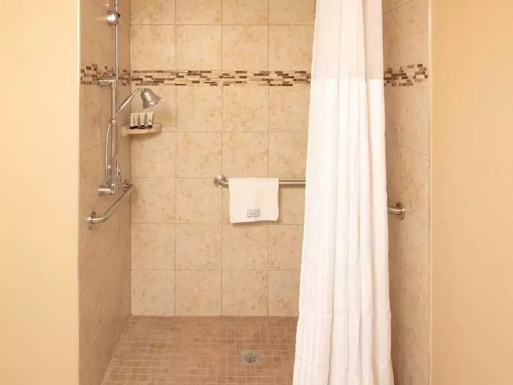 اتاق استاندارد با تخت بزرگ برای معلولان, Red Lion Hotel Orlando Lake Buena Vista South  Near Disney