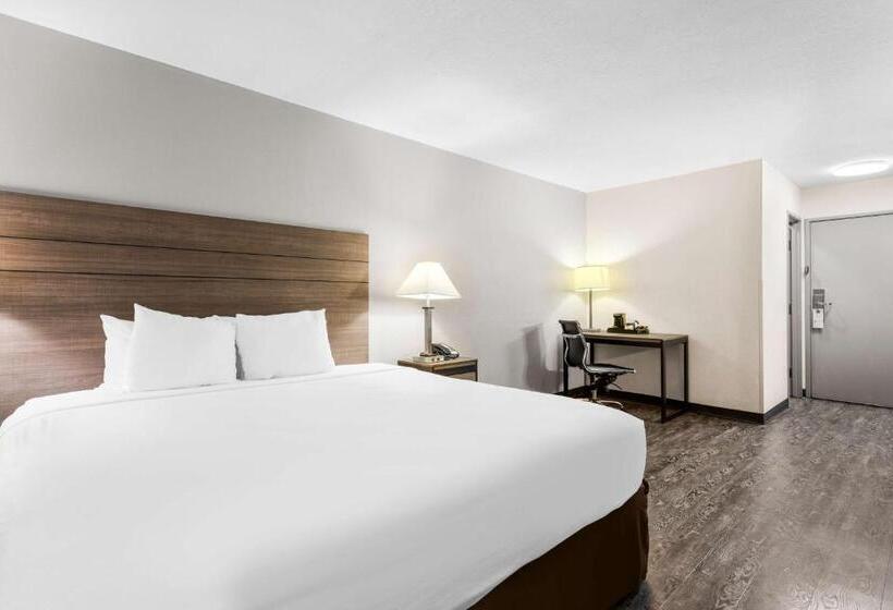 Стандартный Номер Кровать Кинг, Surestay Hotel By Best Western Albuquerque Midtown
