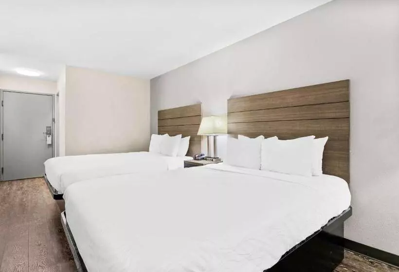 スタンダードルーム, Surestay Hotel By Best Western Albuquerque Midtown